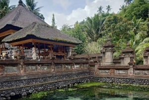 Bali: Customize Private Day Tour with Driver-Guide