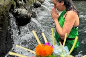 Bali: Customize Private Day Tour with Driver-Guide