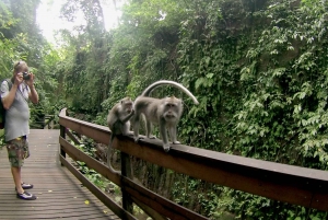 Bali: Customize Your Own Private Guided Tour in Bali