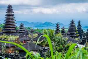 Bali: Customize Your Own Private Guided Tour in Bali