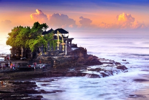 Bali: Customize Your Own Private Guided Tour in Bali