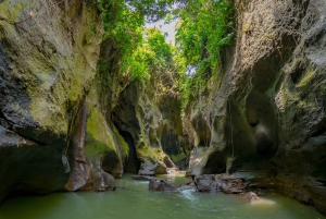 Bali: Customize Your Own Private Guided Tour in Bali
