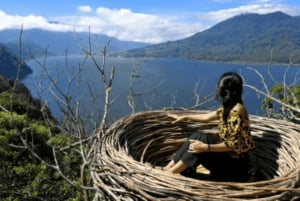 バリ：カスタマイズ可能な日帰りツアー