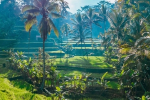 Bali Customized Full-Day Private Tour