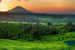 Bali: Customized Private Car Charter 8 Hours