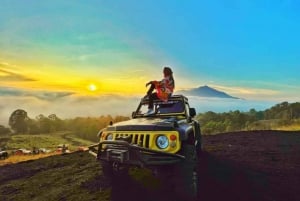Bali: Individueller privater Autocharter mit optionalem Guide