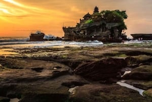 Bali: Customized Private Car Charter with Optional Guide