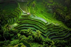 Bali: Customized Private Car Charter with Optional Guide