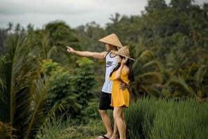 Bali: Customized Private Car Charter with Optional Guide