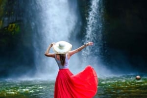 Bali: Customized Private Car Charter with Optional Guide