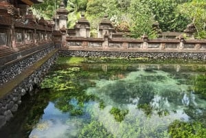 Бали: Индивидуальная частная однодневная экскурсия с водителем-гидом