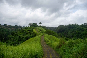 Ubud: Best of Ubud Highlights Private Day Tour