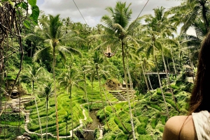 Bali: Customized Private Tour with a Female Guide