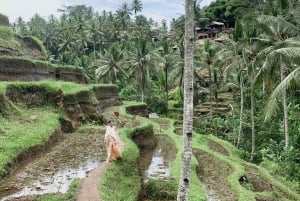 Bali: Excursión Privada Personalizada con Guía Femenina