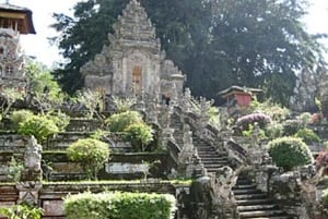 Bali Day Tour: Penglipuran, Waterfall & Monkey river