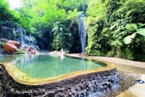 Bali Day Tour: Penglipuran, Waterfall & Monkey river