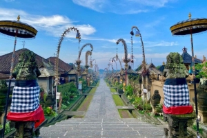 Bali Day Tour: Penglipuran, Waterfall & Monkey river