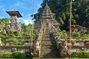 Bali Day Tour: Penglipuran, Waterfall & Monkey river