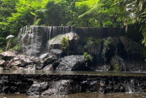 Bali Day Tour: Penglipuran, Waterfall & Monkey river