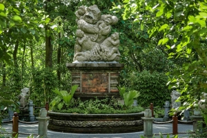 Bali Day Tour: Penglipuran, Waterfall & Monkey river