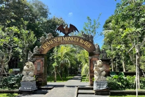 Bali Day Tour: Penglipuran, Waterfall & Monkey river
