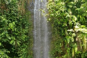 Bali : Excursion d'une journée au temple de Besakih et à deux chutes d'eau cachées