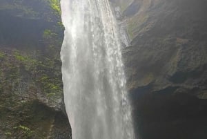 Bali : Excursion d'une journée au temple de Besakih et à deux chutes d'eau cachées