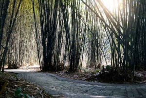 Bali: Dagstur til Besakih-templet og 2 skjulte vandfald