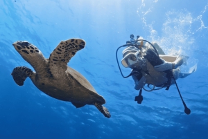 Excursion à Bali : Initiation à la plongée sur l'épave de l'USAT Liberty et kayak