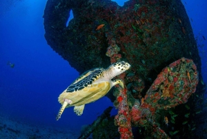 Bali Day Trip: Try Diving at Liberty Shipwreck & Kayak Trip