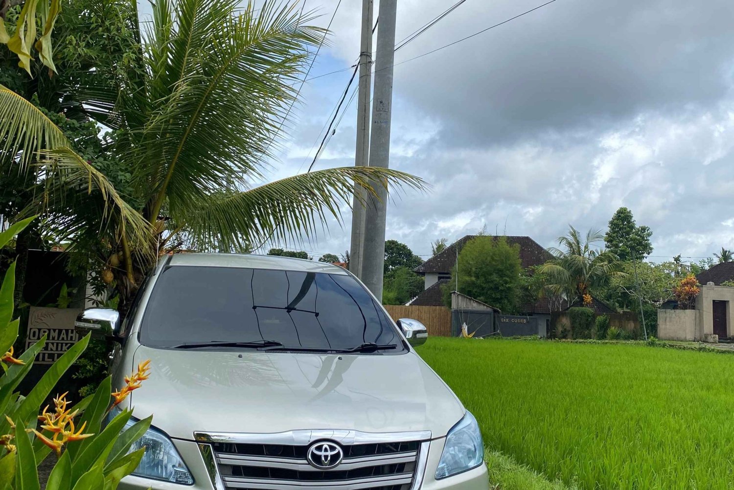 Recogida en el aeropuerto de Bali Denpasar: traslado al hotel en Ubud.