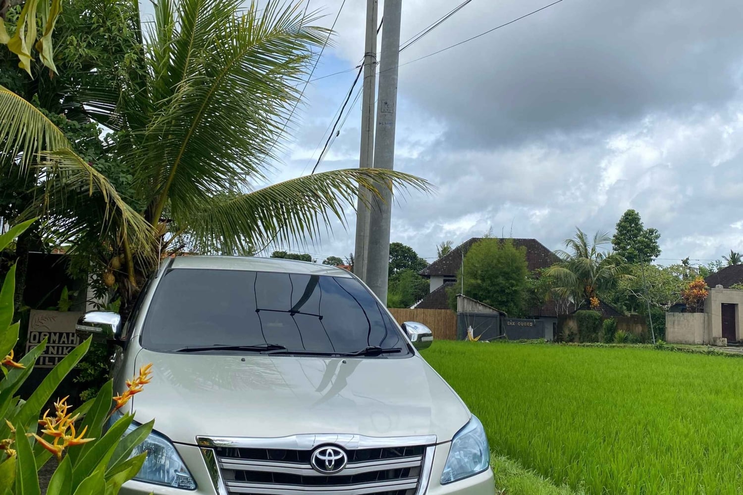 Встреча в аэропорту Бали Денпасар: трансфер в отель в Убуде