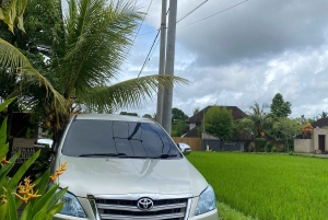 Встреча в аэропорту Бали Денпасар: трансфер в отель в Убуде