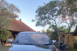 Встреча в аэропорту Бали Денпасар: трансфер в отель в Убуде