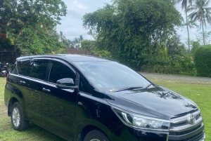 Встреча в аэропорту Бали Денпасар: трансфер в отель в Убуде