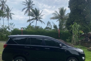 Встреча в аэропорту Бали Денпасар: трансфер в отель в Убуде