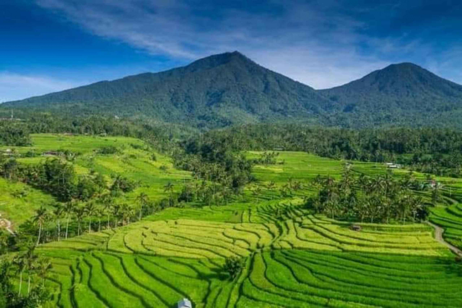 Bali: Designa din skräddarsydda resa med privat förare