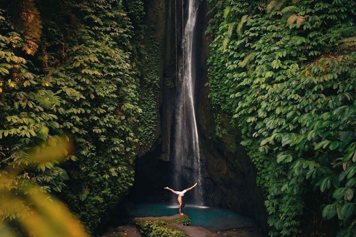 Bali: Upptäck djungelvattenfall och risterrasser Upptäck vattenfall i djungeln och risterrasser