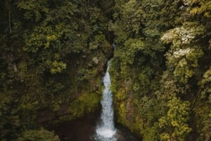 Bali: Upptäck djungelvattenfall och risterrasser Upptäck vattenfall i djungeln och risterrasser