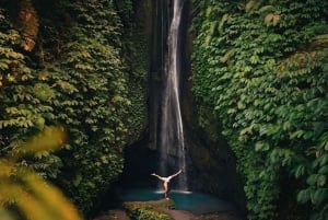 Bali: Upptäck djungelvattenfall och risterrasser Upptäck vattenfall i djungeln och risterrasser