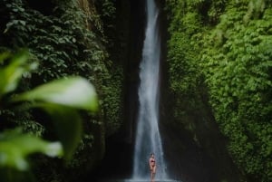Bali: Upptäck djungelvattenfall och risterrasser Upptäck vattenfall i djungeln och risterrasser