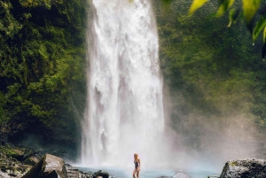 Bali: Upptäck djungelvattenfall och risterrasser Upptäck vattenfall i djungeln och risterrasser