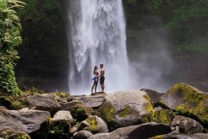 Bali: Upptäck djungelvattenfall och risterrasser Upptäck vattenfall i djungeln och risterrasser