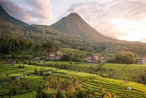 Bali: Upptäck djungelvattenfall och risterrasser Upptäck vattenfall i djungeln och risterrasser