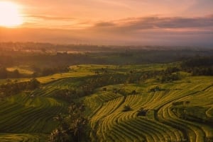 Bali: Upptäck djungelvattenfall och risterrasser Upptäck vattenfall i djungeln och risterrasser