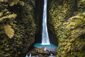 بالي: اكتشف شلالات الغابة ومدرجات الأرز