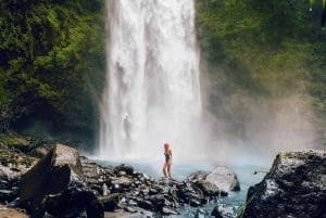 بالي: اكتشف شلالات الغابة ومدرجات الأرز