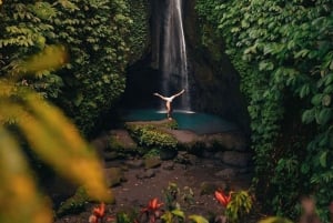 بالي: اكتشف شلالات الغابة ومدرجات الأرز