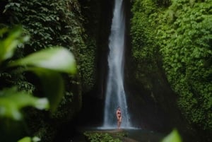 بالي: اكتشف شلالات الغابة ومدرجات الأرز