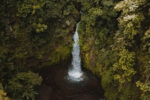 بالي: اكتشف شلالات الغابة ومدرجات الأرز